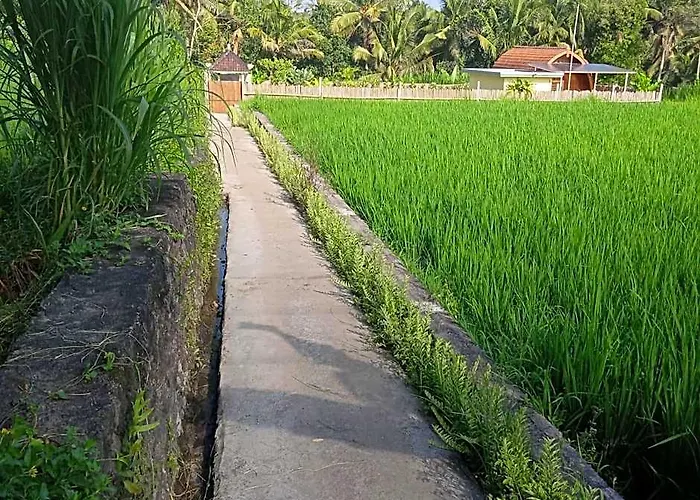 ホテル Kubu Selat バリ島